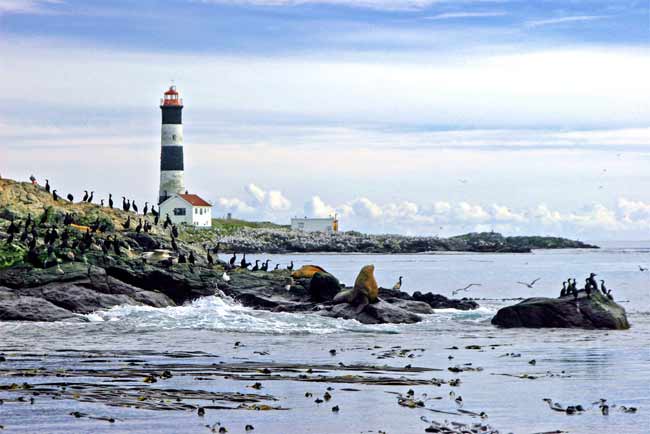 Race Rocks Lighthouse and Marine Protected Area