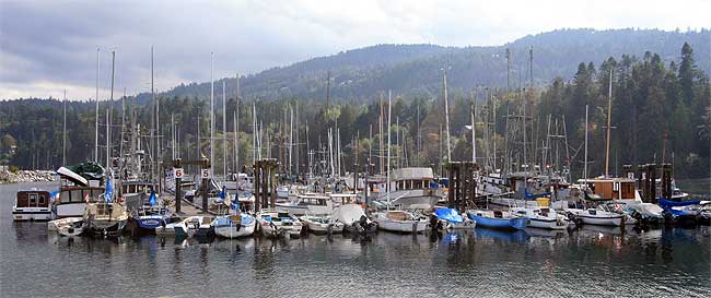 boats moored at Salt Spring Island